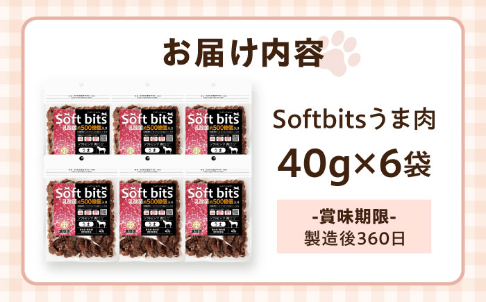 【全3回定期便】Softbits ドッグフード 馬（40g×6P）/ ドッグフード 犬 いぬ ドッグ おやつ ペットフード / 大村市 / サポート [ACAM037]
