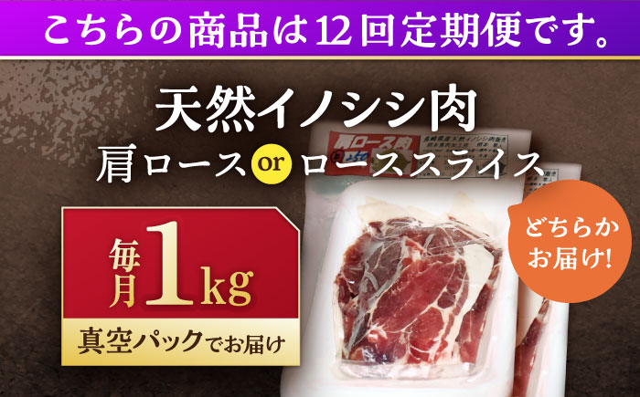 【12回定期便】ジビエ 天然イノシシ肉 肩ロース ＆ ロース スライス1kg【照本食肉加工所】 [OAJ060]