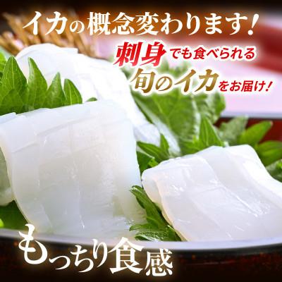 ふるさと納税 美浜町 【活きたイカをご提供している漁師が活〆!鮮度格別】急速冷凍したお刺身で食べるケンサキイカ約1kg |  | 01