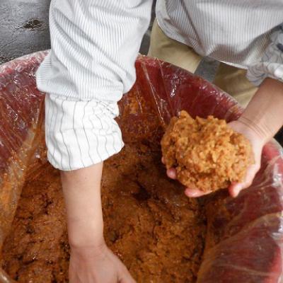 ふるさと納税 吉賀町 柿木ふつう味噌　1.2kg |  | 03
