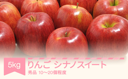 【先行予約】シナノスイート 秀品 5kg りんご 令和7年産 2025年産 果物 ※沖縄・離島への配送不可 sb-rissx5