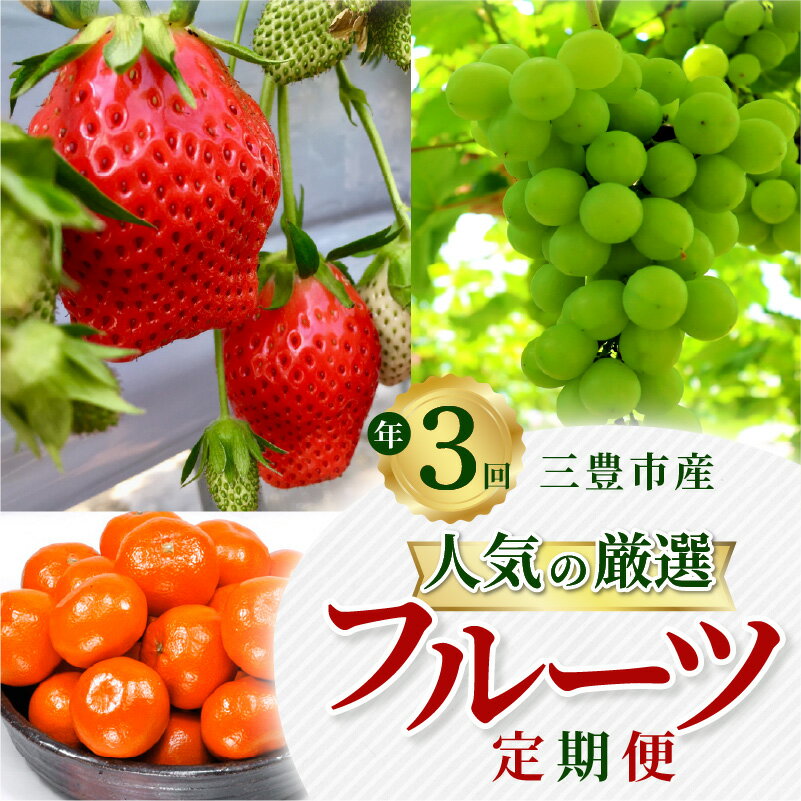 【ふるさと納税】【配送不可地域：北海道・沖縄県・離島】 フルーツ定期便 三豊市産 人気の厳選フルーツ定期便（年3回） [ いちご シャインマスカット みかん さぬきひめ 苺 金時紅みかん 果物 旬の季節にお届け 年3回お届け お取り寄せ 香川県三豊市産 送料無料 五色青果 ]