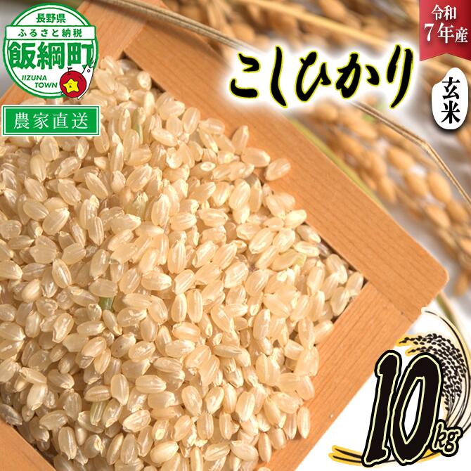 【ふるさと納税】 米 こしひかり ( 玄米 ) 10kg ( 令和7年産 ) 米澤商店 長野県 飯綱町 【 コシヒカリ 玄米 お米 信州 】発送時期：2025年10月上旬〜 [お届け1回 (***)]