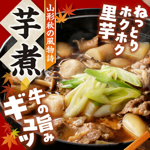 【2026年10月発送分】天童牛 芋煮会 セット ( いも煮 ) 山形 郷土料理 08-01-048-10