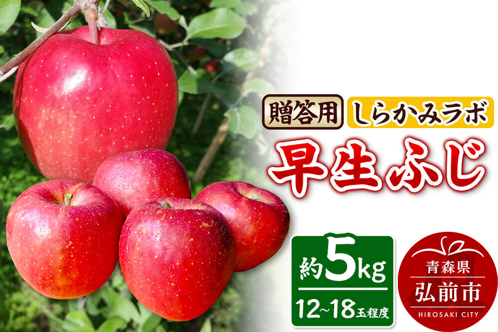 【26年10月発送】りんご 早生ふじ【贈答用】約5kg 先行受付 しらかみラボ 青森県 弘前市 果物 フルーツ 林檎 リンゴ くだもの ギフト 贈り物 [先行予約 産地直送 アップル おいしい 果実 