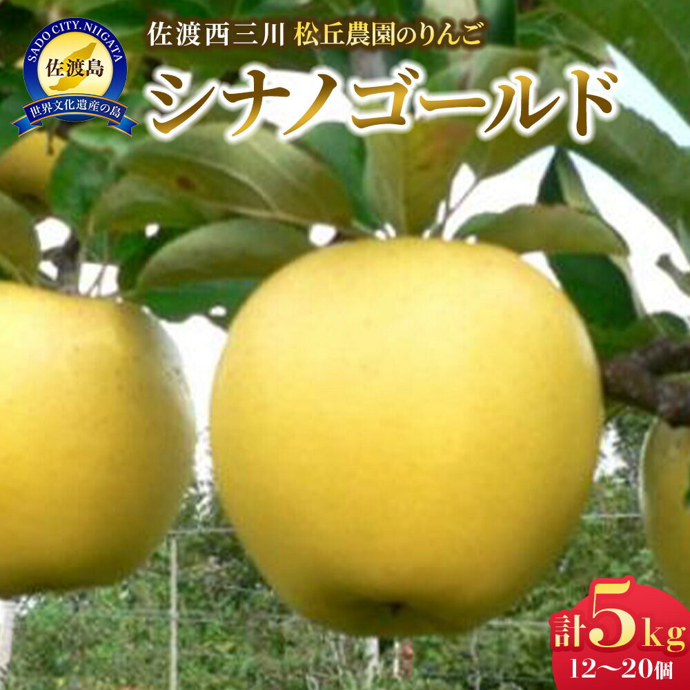 【ふるさと納税】【10月下旬以降発送】佐渡 西三川・松丘農園のりんご「シナノゴールド」12個～20個　計5kg