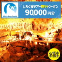 【ふるさと納税】【石垣市】しろくまツアーで利用可能なWEB旅行クーポン(9万円分） | 旅行 チケット 紙券 宿泊 宿泊券 宿 観光 クーポン ホテル 飛行機 交通費 観光施設 体験 トラベルクーポン 沖縄県 石垣市 石垣島 送料無料 人気 WB-9