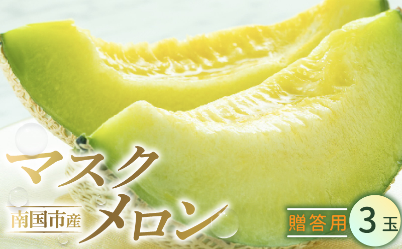 贈答用 南国市 メロン 3玉 | マスクメロン めろん 3個 フルーツ 果物 厳選 高級 人気 デザート ギフト プレゼント 贈り物 くだもの 旬 お取り寄せ メロン 甘い 青肉 メロン 高糖度 メロン 先行予約 西島園芸団地 高知県 南国市
