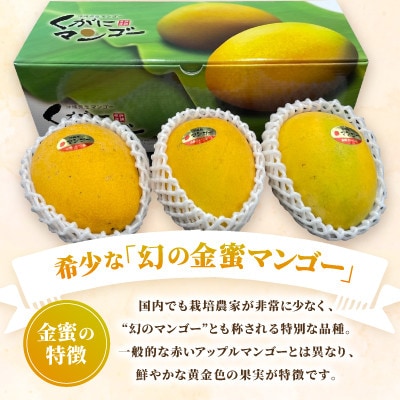 【2026年7月中旬から順次発送・訳あり】今帰仁産の幻の黄金マンゴー2kg(4〜6玉)【配送不可地域：離島】【4014737】
