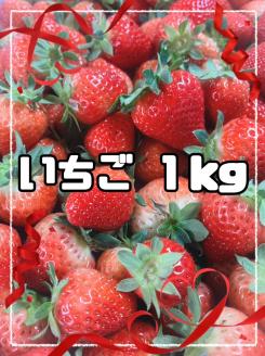 湯沢市秋ノ宮産の甘酸っぱい「いちご」[B12-13301]