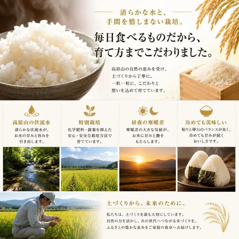 お米 訳あり にじのきらめき 玄米 5kg×2P |栃木県 矢板市