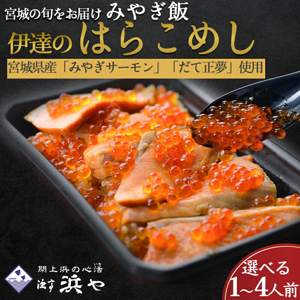 【ふるさと納税】伊達のはらこ飯　選べる 1人前 〜4人前 みやぎ飯 宮城さーもん 漁亭浜や 魚介 魚介類 海鮮 郷土料理 はらこ飯 ふるさと納税 いくら ふるさと納税 イクラ 鮭 鮭いくら イクラ醤油漬け 惣菜 魚卵 丼 食品 グルメ 取り寄せ 名取市 ふるさと納税