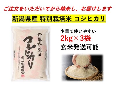 D08　【令和５年産】特別栽培米コシヒカリ（2㎏×3袋）