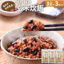 【ふるさと納税】洗わずそのまま 発芽酵素 玄米炊飯 セット 3合 (450g) ×3セット 玄米 酵素玄米 うるち米 熟成 残留農薬ゼロ 国産 大分県 九重町 送料無料