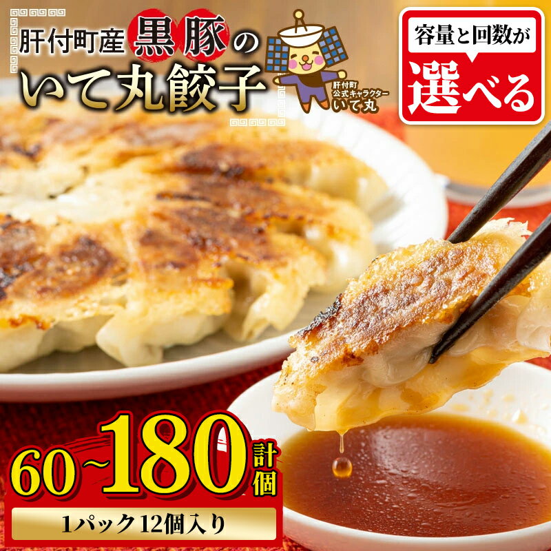 【ふるさと納税】鹿児島県 肝付町産 黒豚 餃子 ギョーザ ＜1パック 12個入り＞ (計60個 ～ 計180個) ぎょうざ たれ付き パリパリ もちもち ジューシー おかず お弁当 冷凍食品 時短 小分け 加工品 冷凍 定期便 豚肉 国産 【財宝】