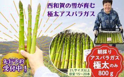 ＜先行予約＞やまに農産「朝採りアスパラガス」800g（2Ｌ以上サイズ）限定30セット