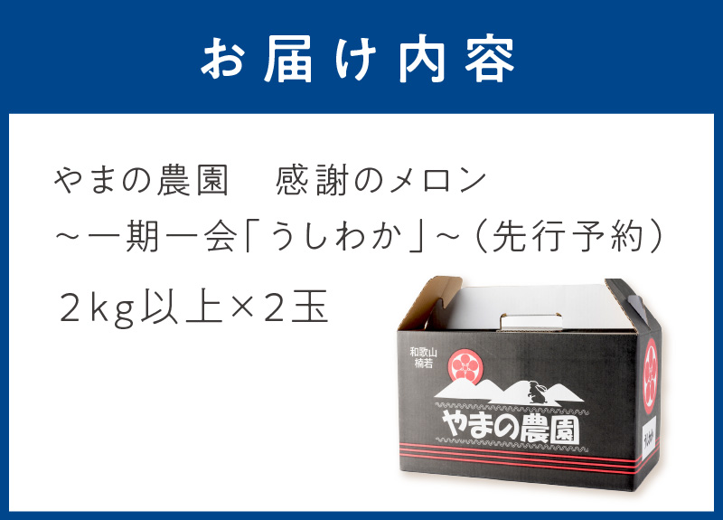 【0925-3】やまの農園　感謝のメロン～一期一会「うしわか」～（先行予約2025年7月中旬より順次発送予定）