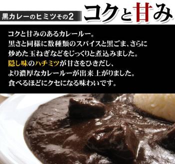 牛タン黒カレー（200ｇ×16パック） ※お届け不可地域あり【069D-009】