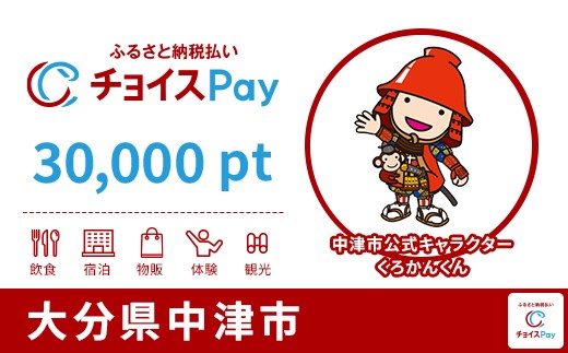 
            中津市チョイスPay 30,000pt【会員限定のお礼の品】
          