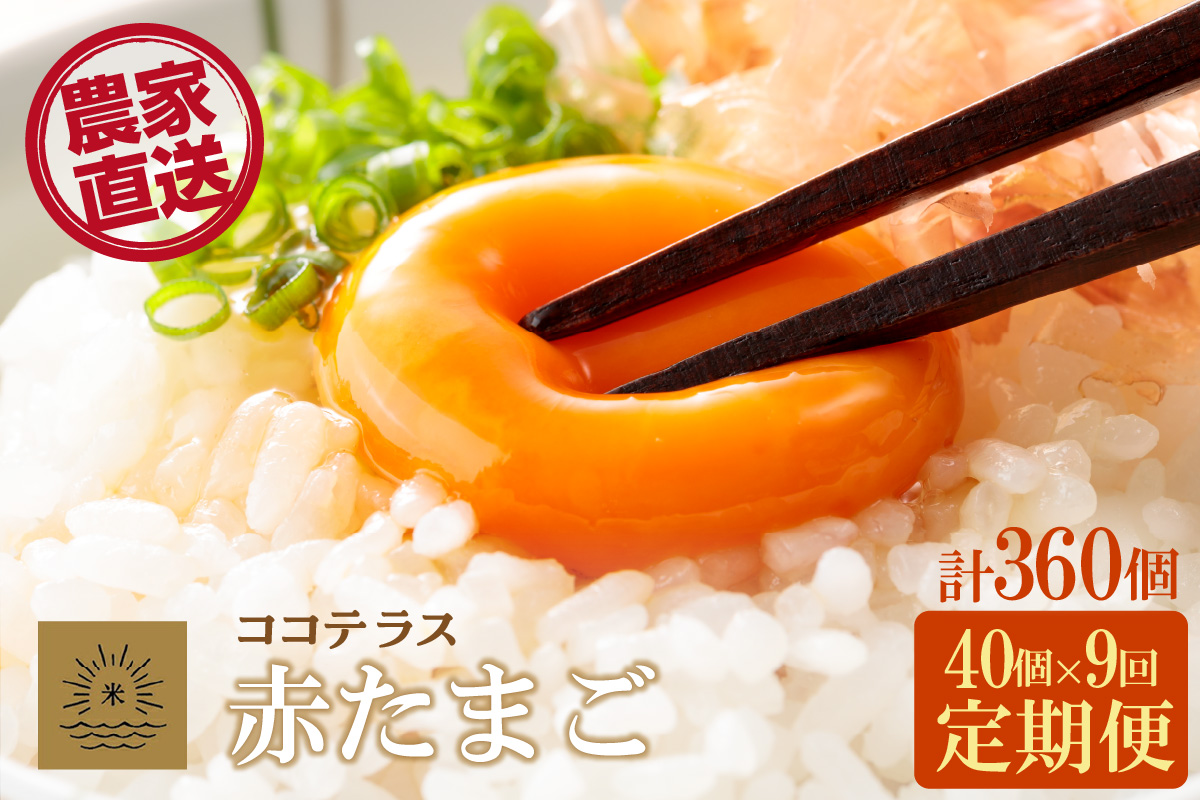 【9ヵ月定期便】ココテラスの明日（赤たまご）35個 + 5個保証（計40個）【JGAP認証】
