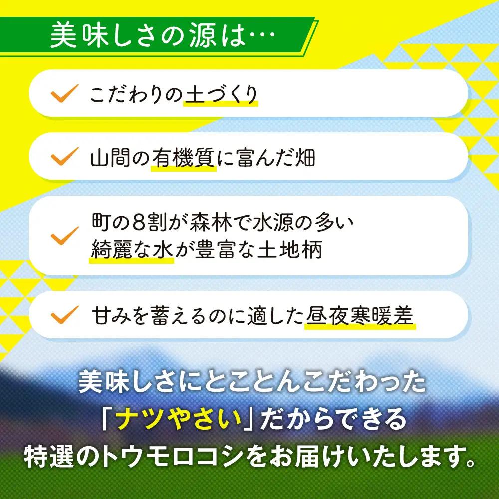 【先行受付】R8年産 トウモロコシ（ゴールドラッシュ） 5本から6本 ピンクの八百屋 ナツやさい | とうもろこし トウモロコシ ゴールドラッシュ 旬 新鮮 野菜 夏 甘い 産地直送 北海道 津別町 