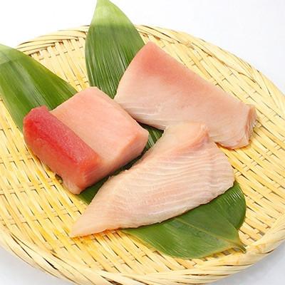 ふるさと納税 いわき市 【2ヵ月毎定期便】トロびんちょうマグロ [約1kg(4〜8サク)]全3回 |  | 01