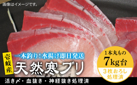 壱岐島産天然寒ブリ（7キロ台・3枚おろし） 《壱岐市》【壱岐島　玄海屋】[JBS012] ぶり 寒ぶり ブリ 魚 刺身 しゃぶしゃぶ 78000 78000円
