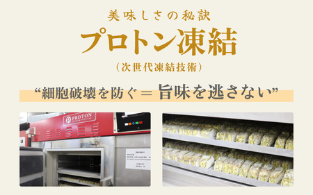 【福井名物】焼き鯖の押寿司1本＆穴子の棒寿司2本 寿司3本セット ギフト 冷凍寿司 [A-8402]