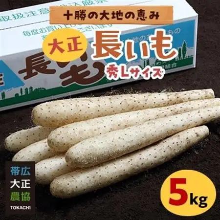 大正長いも5kg_野菜  いも イモ 芋_【1205760】