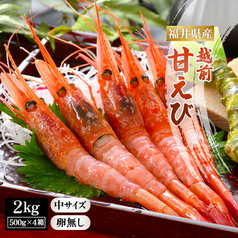 【ふるさと納税】【先行予約】天然 越前甘えび (卵なし) 中サイズ計2kg (500g × 4箱) (合計約140尾入り)【2025年7月より順次発送予定】解凍方法説明書付き 酸化防止剤不使用！【えび エビ 海老 甘エビ 甘えび 海鮮 お刺身 魚介 無添加 冷凍 福井県産】