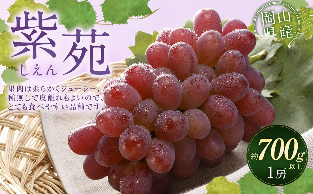 
                  冬 ぶどう 2026年 先行予約 紫苑 1房 700g以上 【2026年10月下旬～11月下旬 発送予定】 葡萄 ブドウ 種なし 大粒 フルーツ 果物 果実 お歳暮 ギフト 環山堂 岡山県産 国産 岡山県 奈義町 冷蔵
                