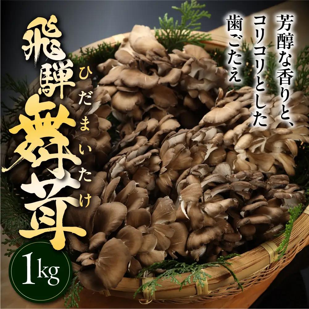 訳あり（簡易包装）飛騨舞茸 1kg 舞茸【60-2】