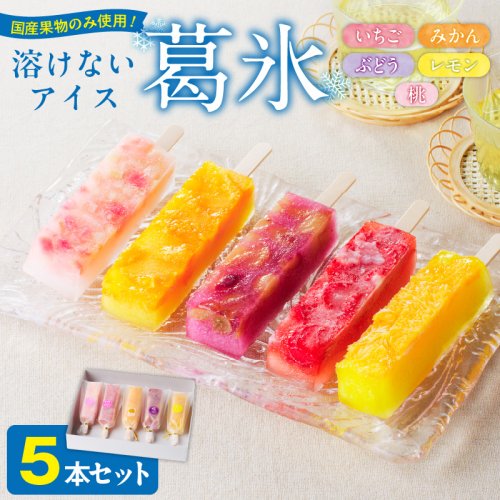 とけないアイス　葛氷5本セット［009B09］