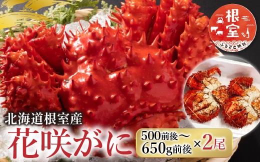 
            B-36002 【北海道根室産】花咲かに500g前後～650g前後×2尾
          