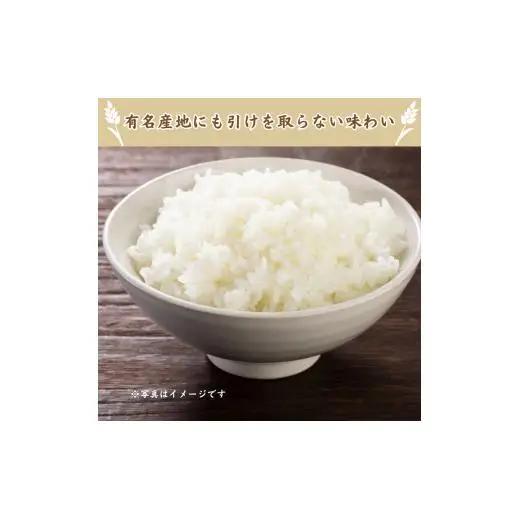 利根町産コシヒカリ　精米5kg ／ 米 こめ コメ お米 おこめ コシヒカリ こしひかり 令和7年産 白米 精米 ご飯 ごはん 10kg 送料無料