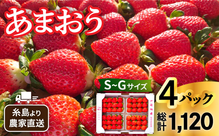 【先行予約】【農家直送！】 糸島産 あまおう 280g×4パック (GおよびSサイズ)　【2026年1月下旬以降順次発送】 糸島市 / 後藤農園 [AML003]