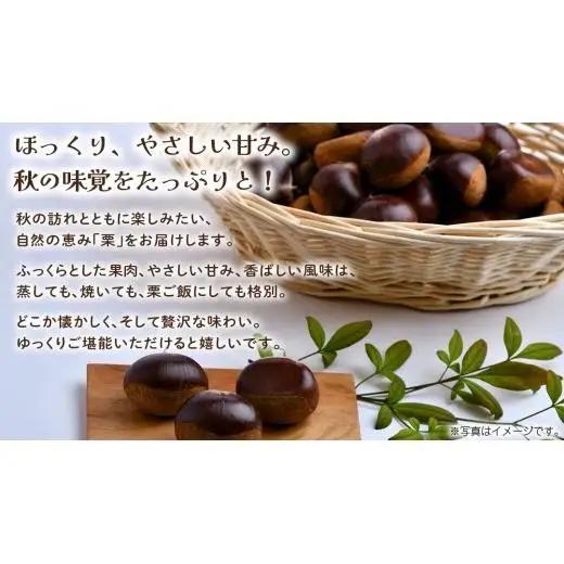 栗 10kg 【2026年9月上旬発送開始】(茨城県共通返礼品：大子町)