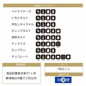 タルト 詰め合わせ ギフト 16個 セット | 長野県 飯田市