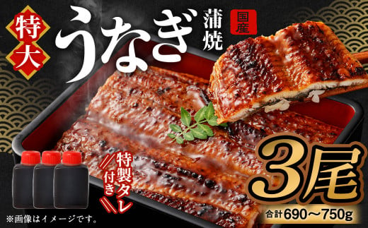 国産 うなぎ 蒲焼 3尾 （690〜750g）と 特製タレ 3個 セット 鰻 ウナギ 蒲焼き うなぎ蒲焼 セイロ蒸し せいろ蒸し タレ付 冷凍