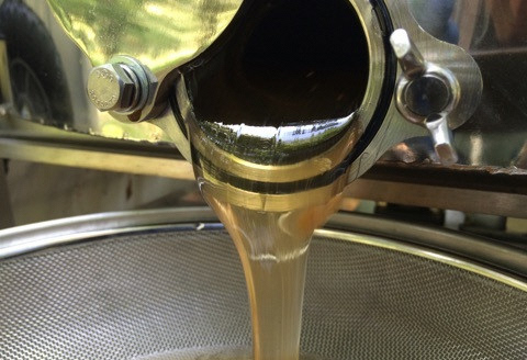 【環境大臣賞受賞】【特別賞受賞】 HACHIBEI 阿賀野産 天然 はちみつ 3本セット  1L02013