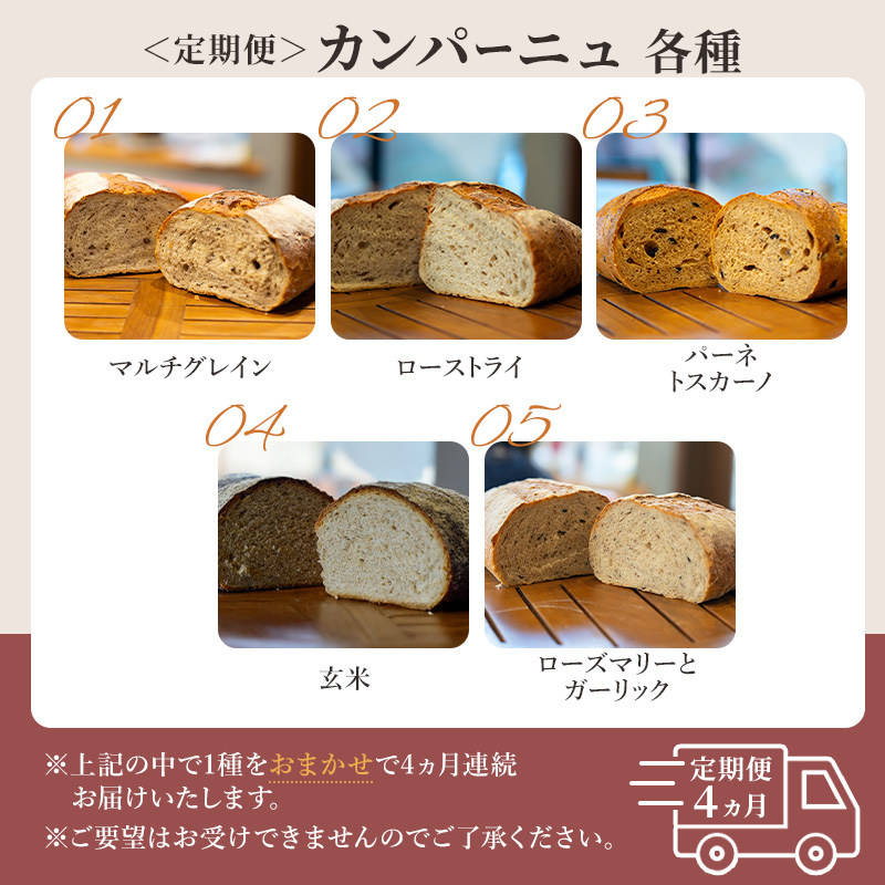 本場欧州のハード系パン　特製カンパーニュ　4カ月定期便（各月種類ランダム/焼成前各1kg）
