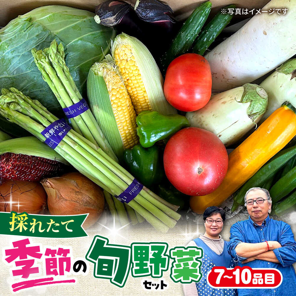 【ふるさと納税】農家自慢 季節の野菜セット（7～10品目） / 詰め合わせ 野菜 やさい 野菜セット 野菜詰め合わせ 旬 春野菜 夏野菜 秋野菜 / 大村市 / 産直松吉[ACZC001]