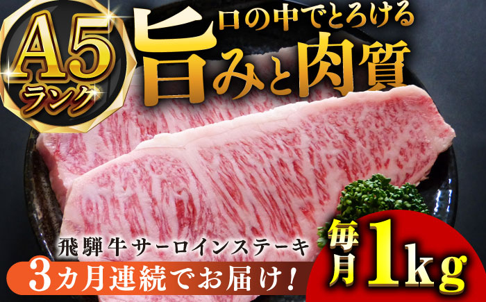 
【3回定期便】A5等級飛騨牛サーロインステーキ用1kg 和牛 BBQ 霜降り 岐阜市/小川ミート [ANAJ010]
