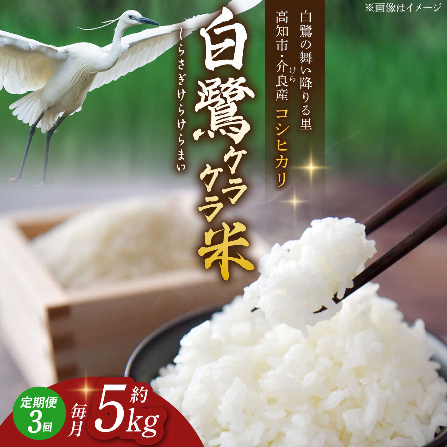 【ふるさと納税】【3回定期便】 R8年度産 特別栽培米 農薬節減！ 白鷺ケラケラ米 コシヒカリ 各約5kg 合計約15kg / 高知 米 お米 精米 　【津ノ宮農園】[ATBV012]