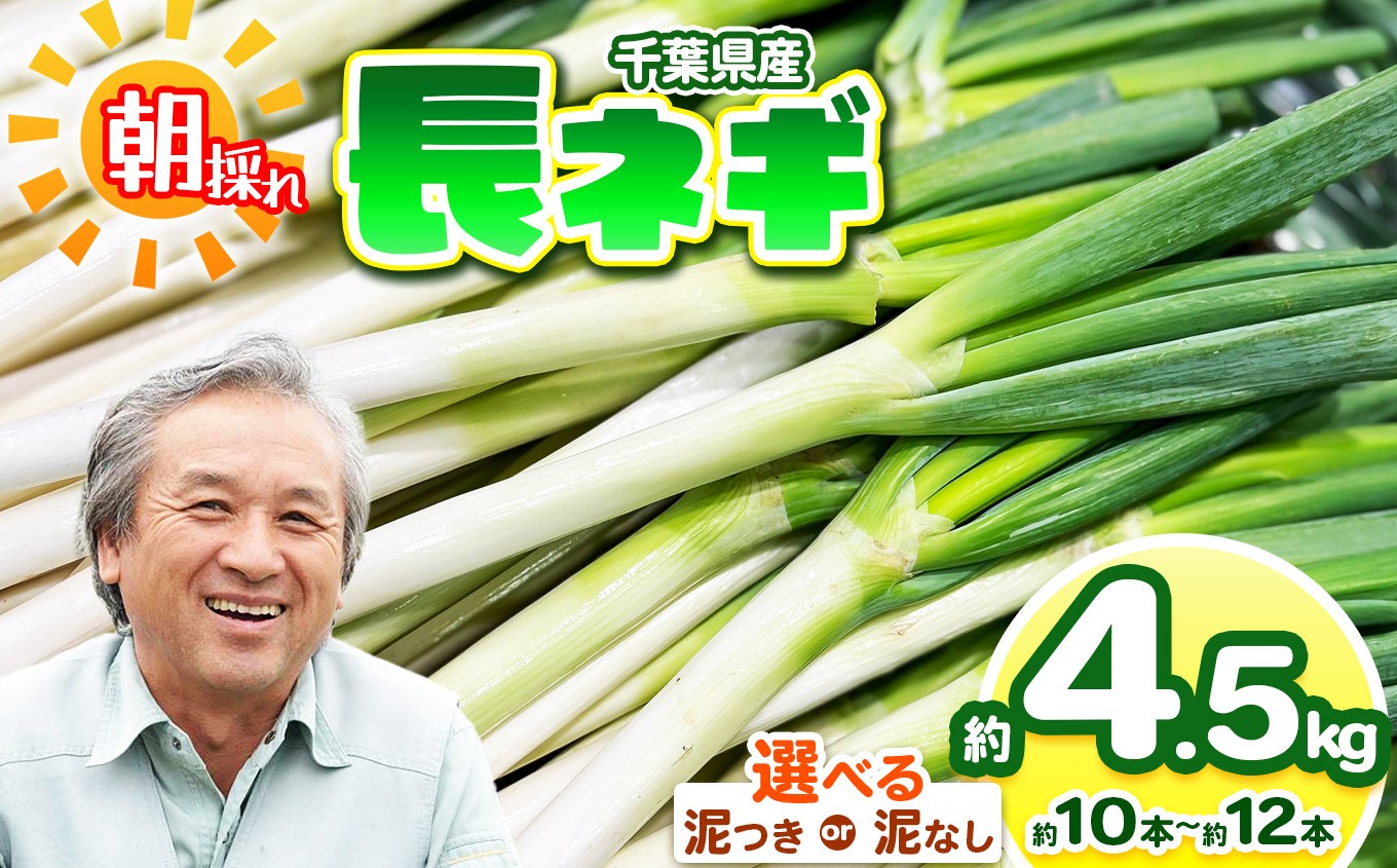 
                  【選べる種類】【 泥なし or 泥つき 】 長ネギ 約4.5kg （約10～12本）　にがり農法 | 鈴木アル・ファーム ねぎ ネギ 長ネギ 長ねぎ お鍋 国産 新鮮 詰め合わせ 産地直送 朝採れ 栄養たっぷり 冬野菜 旬 千葉県 君津市　きみつ
                