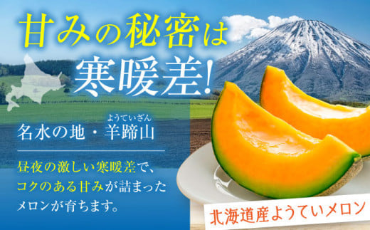 先行予約 めろん メロン 赤肉メロン 赤肉 フルーツ 果物 常温 常温配送 北海道 産地直送