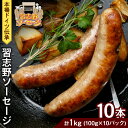 【ふるさと納税】本場ドイツ伝承！無添加 習志野ソーセージ（100g×10本 個包装 冷凍） 計1kg