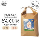 【ふるさと納税】 米 令和6年度米 選べる種類 白米 玄米 どんぐり米 5kg ミネラルたっぷり そらくも農場 農薬不使用 化学肥料不使用 天日干し 山梨県 北杜市 【令和6年度新米】 送料無料