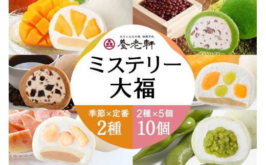【期間限定】養老軒のミステリー大福　10個入（2種類×5個）│お楽しみ 人気 旬 フルーツ ふるーつ スイーツ 大福 和スイーツ おやつ おかし お菓子 和菓子 日時指定可