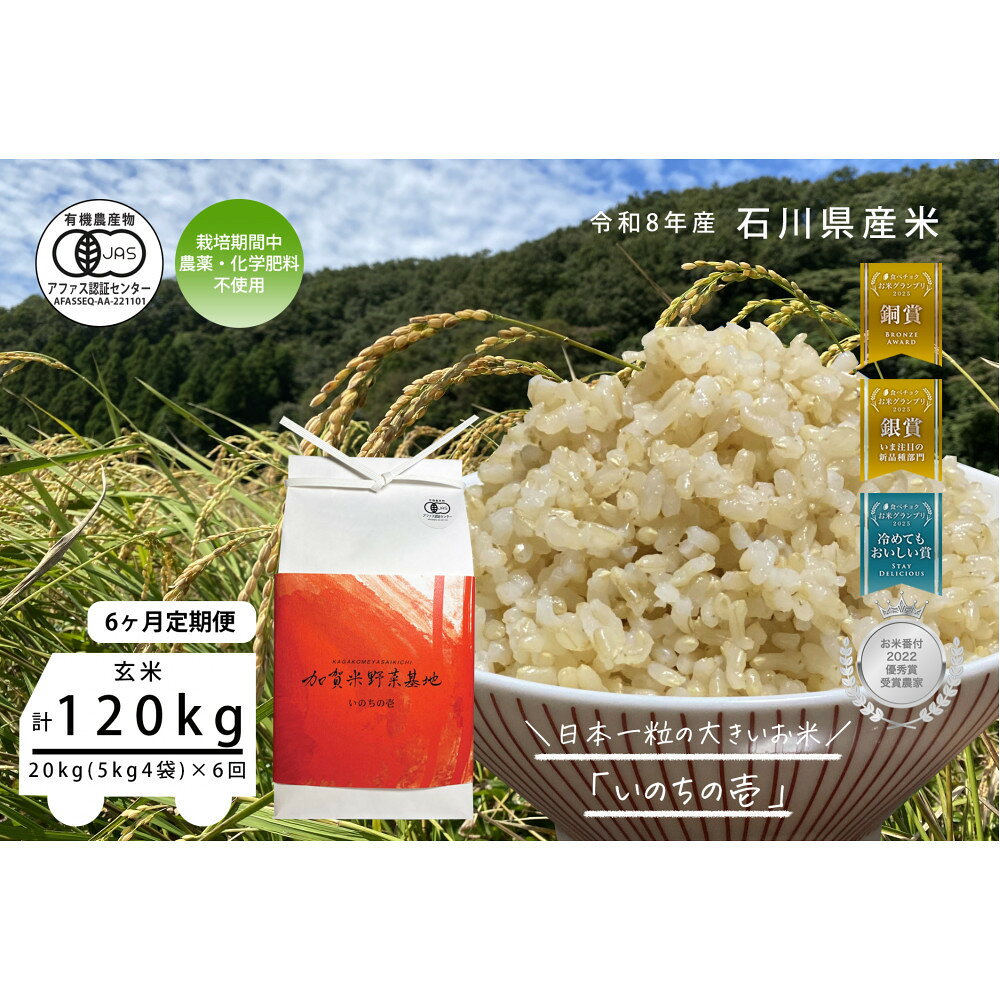 【ふるさと納税】《令和8年産 新米 先行予約》「6ヶ月定期便」【お米グランプリ3部門受賞】＜有機JAS認証米＞日本一粒の大きいお米『いのちの壱』玄米20kg×6回